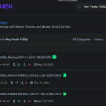 bitsearch-screenshots-img-003